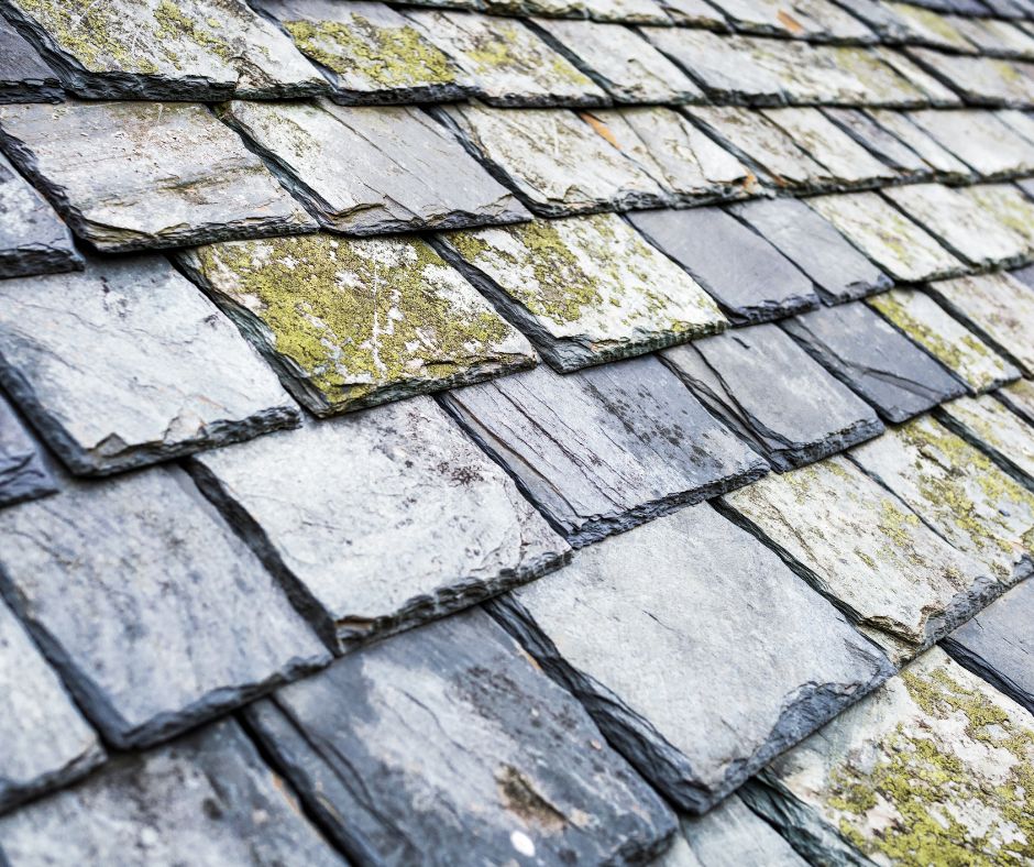 Slate Roof Repair: Critical Signs That Demand Attention