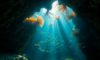 Belize Diving: Uncover Stunning Underwater Treasures