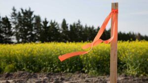 Subdivision Surveys: Your Essential Guide for Clyde North