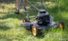 Grass Cutting Services in Ilchester: Expert Options and Tips
