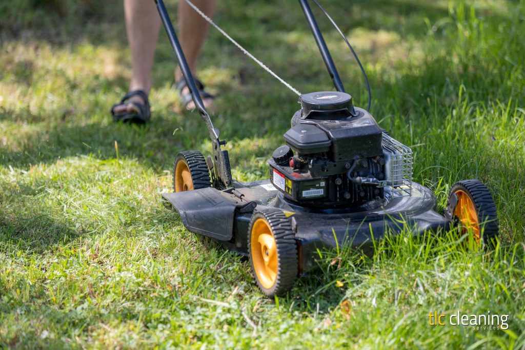 Grass Cutting Services in Ilchester: Expert Options and Tips