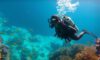 Big Blue Hole in Belize: Essential Diving Tips and Guide