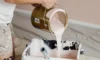 Exterior Paint Jobs: Succeed with Budget Tips in Sydney’s Humidity