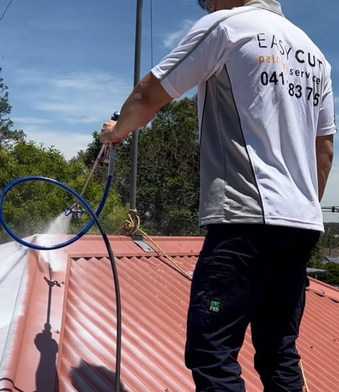 Insights on Metal Roof Painting from a Hills District Expert