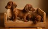 Puppy Comfort: Create a Snug Crate for Your Pet