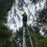 Electrical Defect Notice Response on the Mid North Coast