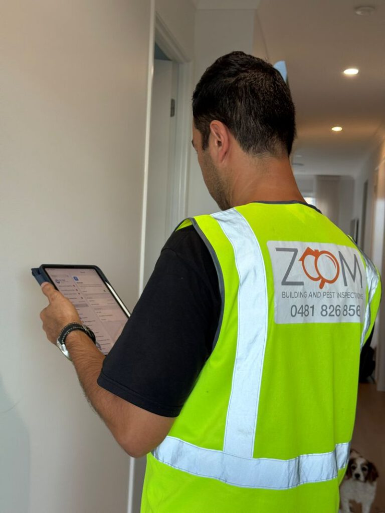 Building and Pest Inspection in Brisbane: A Comparative Guide